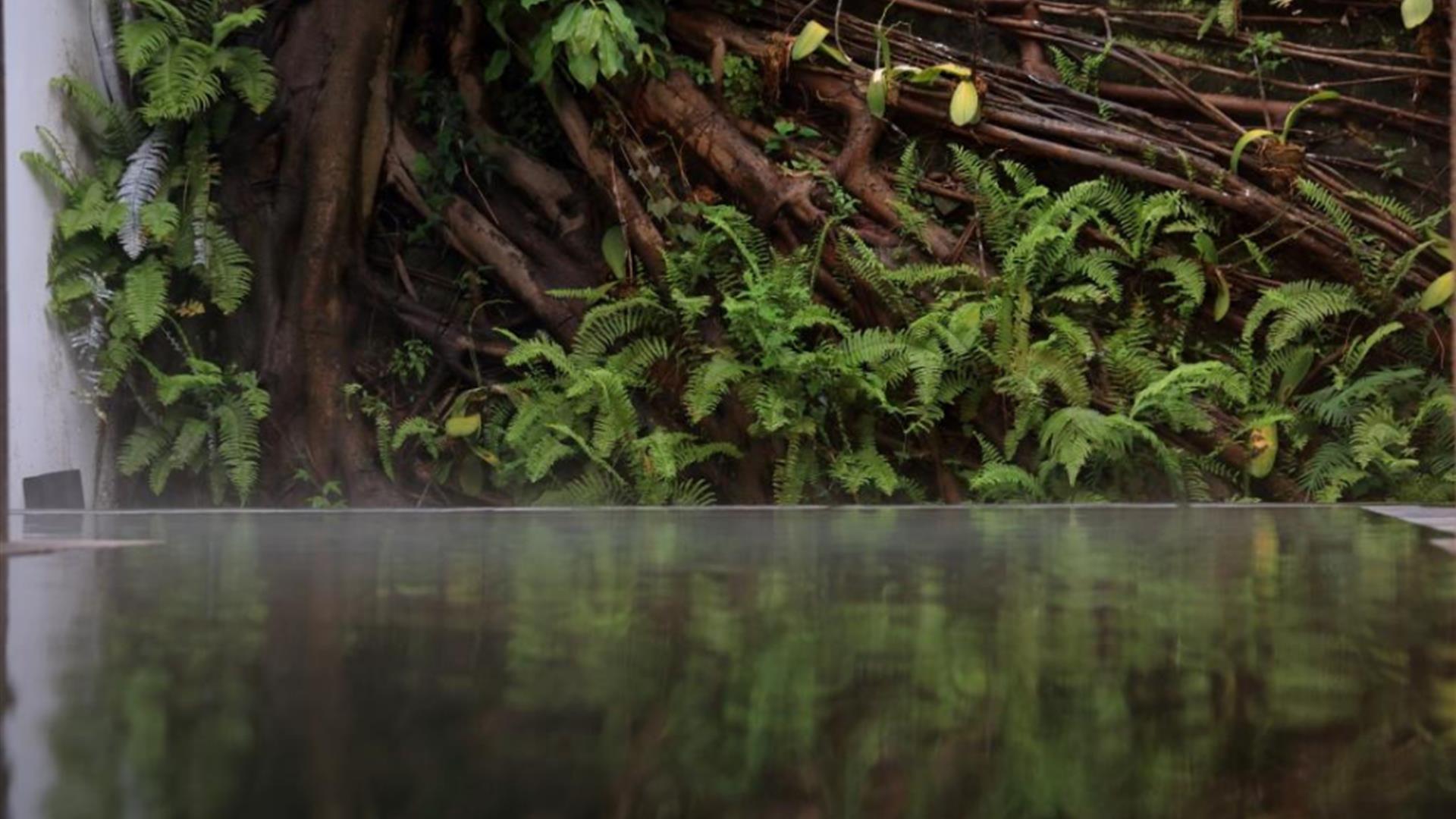 北投の湯 NO24-896 北投公園露天温泉浴場 | 台北観光サイト